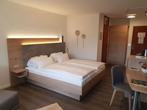 Panorama Comfort double room, balcony, park view (small)