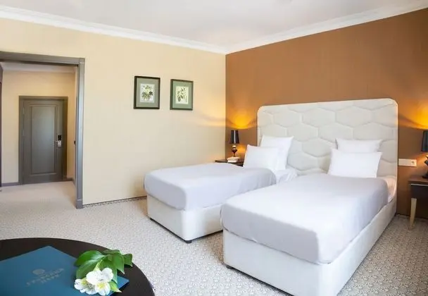 Business İki Ayrı Yataklı Oda, 2 Tek Kişilik Yatak