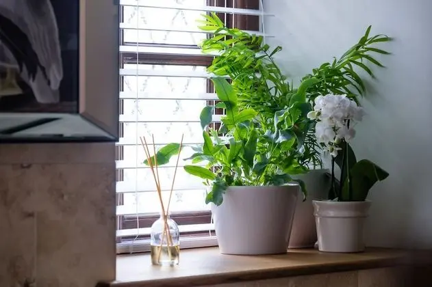 Tek Büyük Yataklı Oda (Garden View Room 4)