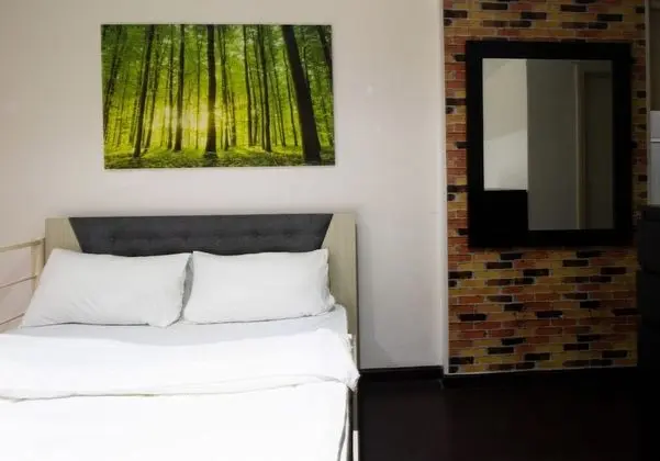Luxury Çatı Katı (Loft), 1 Yatak Odası, Balkon, Şehir Manzaralı