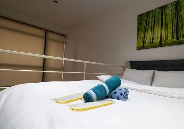 Luxury Çatı Katı (Loft), 1 Yatak Odası, Balkon, Şehir Manzaralı