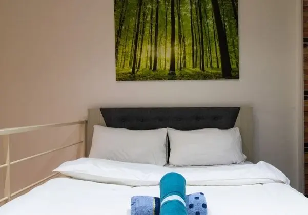 Luxury Çatı Katı (Loft), 1 Yatak Odası, Balkon, Şehir Manzaralı