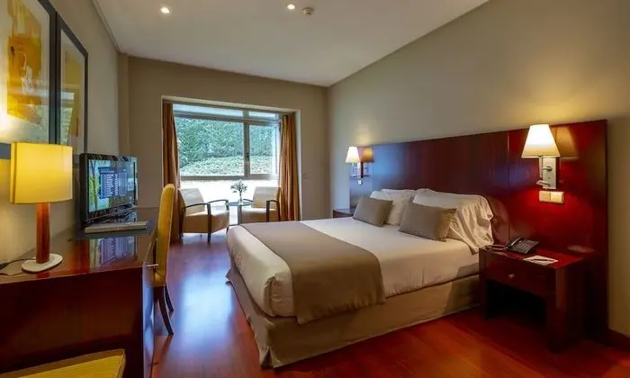 Tek Büyük Yataklı Oda, 1 Büyük (Queen) Boy Yatak