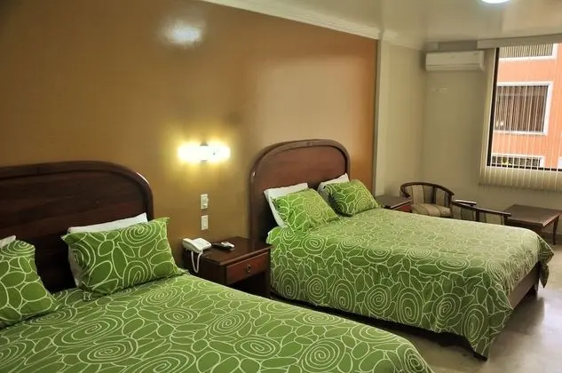 Standard Tek Büyük Yataklı Oda, 1 Yatak Odası