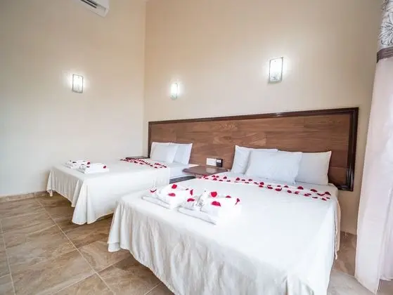 Comfort Oda, 2 Çift Kişilik Yatak