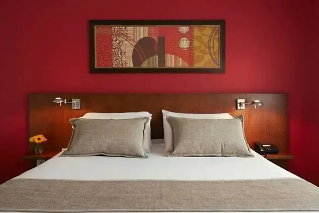 Standard Tek Büyük Yataklı Oda, 1 En Büyük (King) Boy Yatak