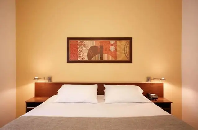 Standard Tek Büyük Yataklı Oda, 1 En Büyük (King) Boy Yatak