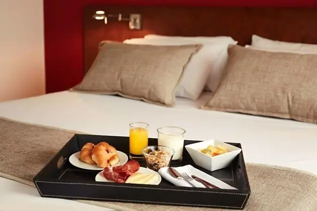 Standard Tek Büyük Yataklı Oda, 1 En Büyük (King) Boy Yatak