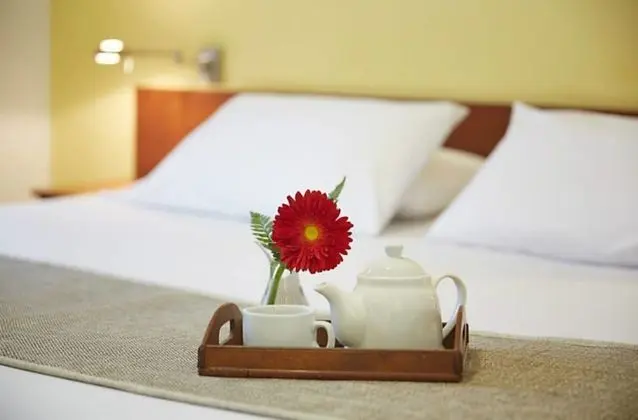 Standard Tek Büyük Yataklı Oda, 1 En Büyük (King) Boy Yatak