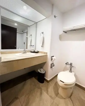 Standard Tek Büyük Yataklı Oda, 2 Çift Kişilik Yatak