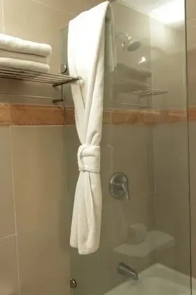 Deluxe Plus, 1 King Bed, Fridge, Bathtub