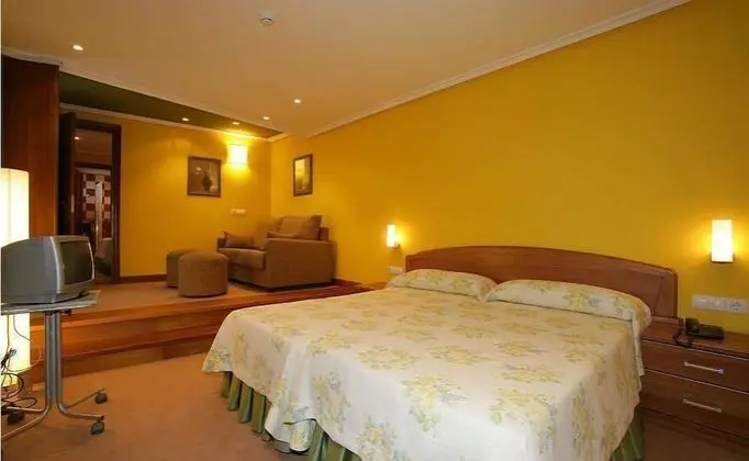 Superior Tek Büyük Yataklı Oda