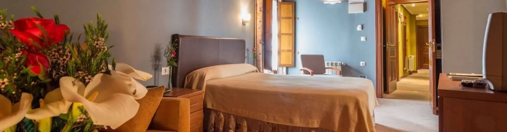 Tek Büyük Yataklı Oda (Double room + extra bed)