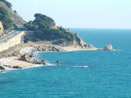 Standard Tek Kişilik Oda, 1 Tek Kişilik Yatak