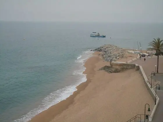 Superior Tek Kişilik Oda, 1 Tek Kişilik Yatak