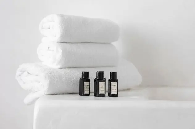 Wellness Spa Suite
