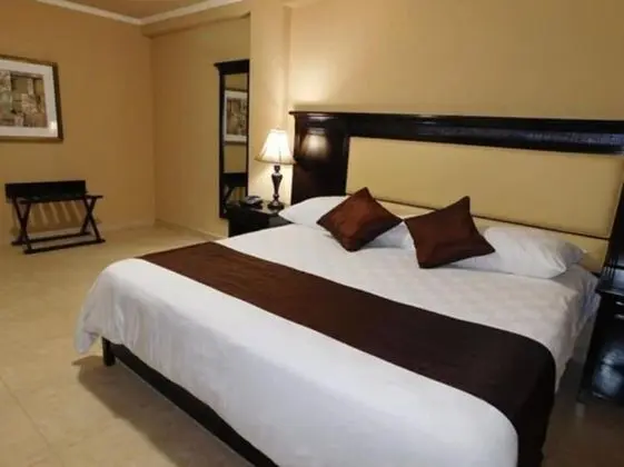 Basic Büyük Yataklı Tek Kişilik Oda, 1 En Büyük (King) Boy Yatak