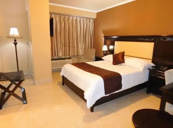 Basic Büyük Yataklı Tek Kişilik Oda, 1 En Büyük (King) Boy Yatak