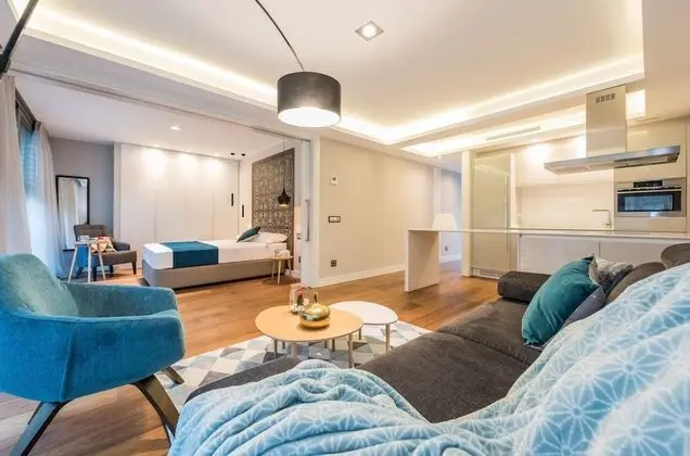 Executive Apart Daire, 1 Yatak Odası