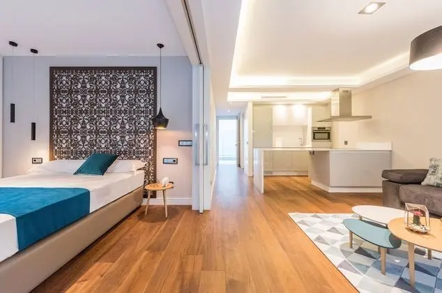 Executive Apart Daire, 1 Yatak Odası