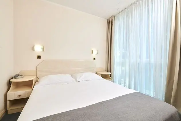 Economy room with french bed park side - single use