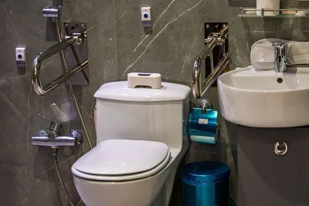 Deluxe Oda, 1 Yatak Odası
