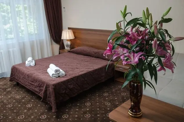 Standard Tek Büyük Yataklı Oda, 1 Çift Kişilik Yatak ve Çekyat