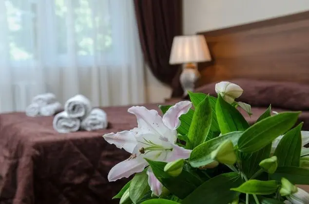 Standard Tek Büyük Yataklı Oda, 1 Çift Kişilik Yatak ve Çekyat