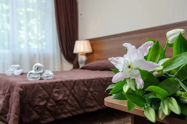 Standard Tek Büyük Yataklı Oda, 1 Çift Kişilik Yatak ve Çekyat