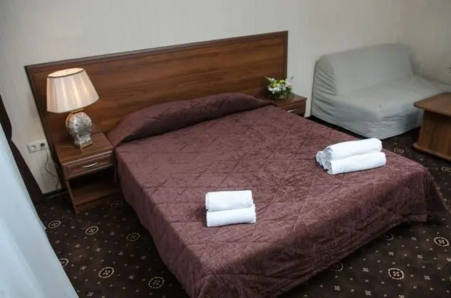 Standard Tek Büyük Yataklı Oda, 1 Çift Kişilik Yatak ve Çekyat