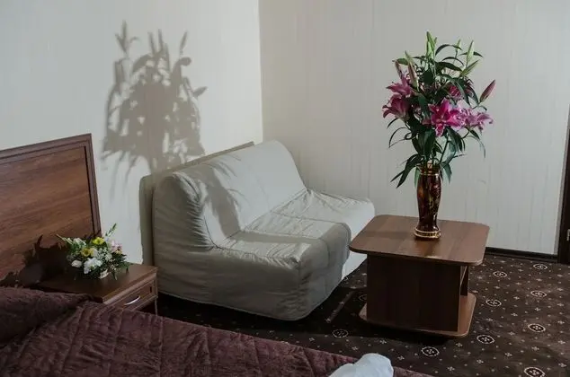 Standard Tek Büyük Yataklı Oda, 1 Çift Kişilik Yatak ve Çekyat