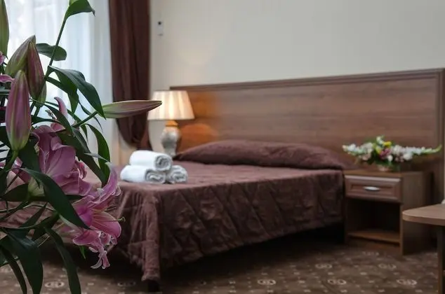 Standard Tek Büyük Yataklı Oda, 1 Çift Kişilik Yatak ve Çekyat