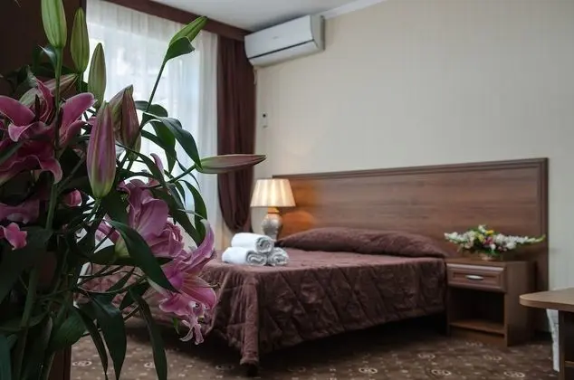 Standard Tek Büyük Yataklı Oda, 1 Çift Kişilik Yatak ve Çekyat