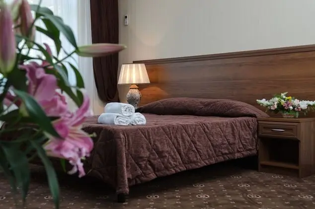 Standard Tek Büyük Yataklı Oda, 1 Çift Kişilik Yatak ve Çekyat