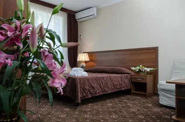 Standard Tek Büyük Yataklı Oda, 1 Çift Kişilik Yatak ve Çekyat