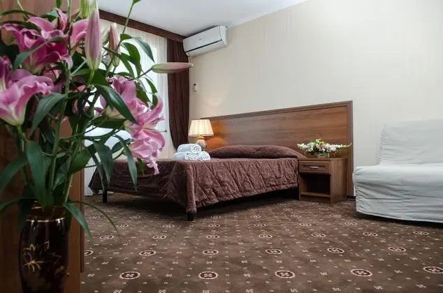 Standard Tek Büyük Yataklı Oda, 1 Çift Kişilik Yatak ve Çekyat