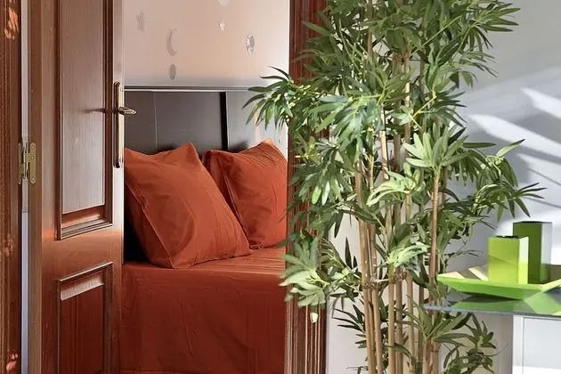 Çatı Katı Süiti (Penthouse), 1 Yatak Odası