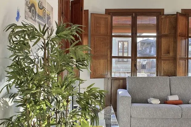 Çatı Katı Süiti (Penthouse), 1 Yatak Odası