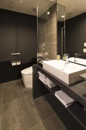 Executive Tek Kişilik Oda, Sigara İçilmez (GRAN)