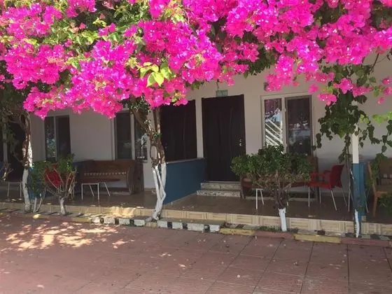 Havuz Manzaralı Aile Odası