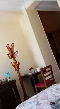 Süit