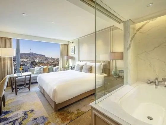 Deluxe Oda, 1 En Büyük (King) Boy Yatak