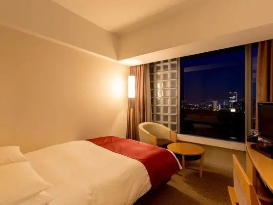Tek Büyük Yataklı Oda (140cm bed width / Palace View)