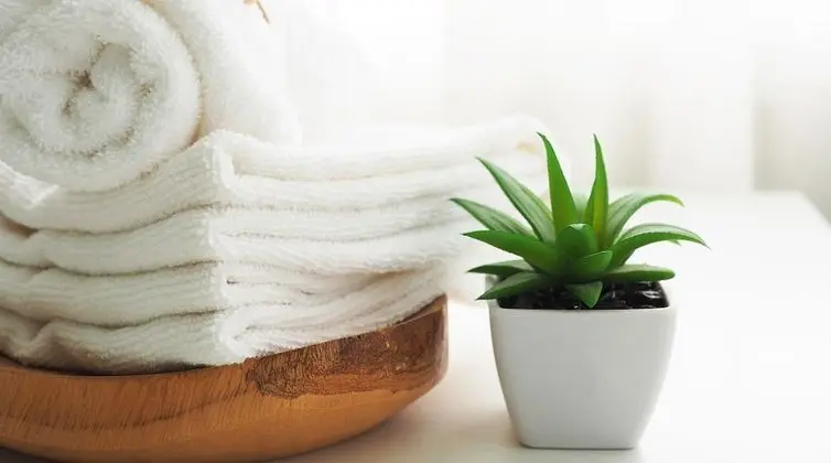 İki Ayrı Yataklı Oda (included light evening meal)