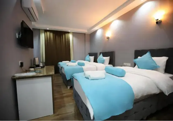Standart Oda, Doğa Manzaralı
