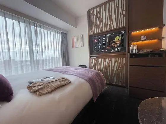 Tek Büyük Yataklı Oda (with Shower booth)
