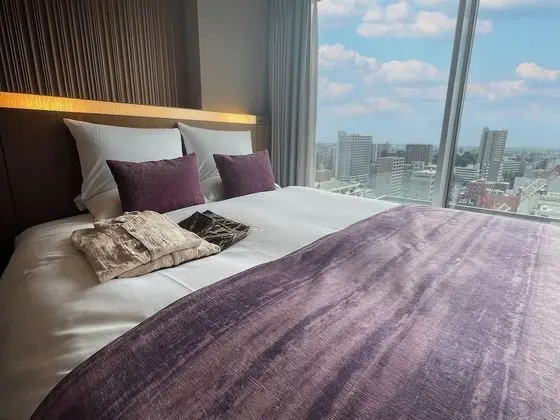 Tek Büyük Yataklı Oda (with Shower booth)