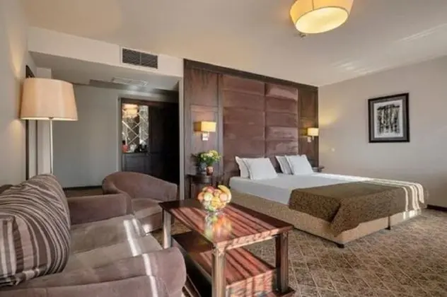 Deluxe Tek Büyük Yataklı Oda