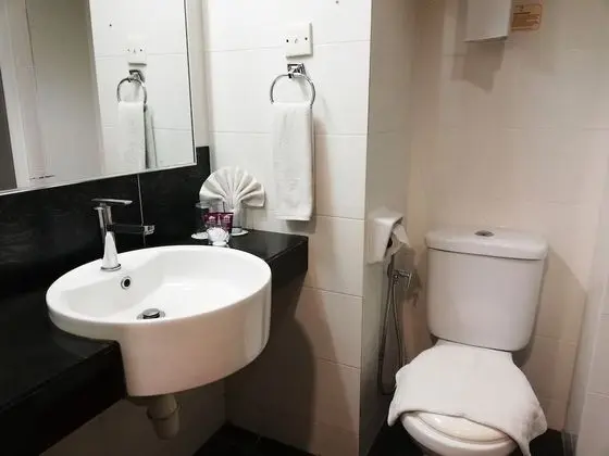 Deluxe Tek Büyük veya İki Ayrı Yataklı Oda