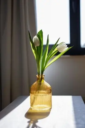 Deluxe Oda, 1 En Büyük (King) Boy Yatak